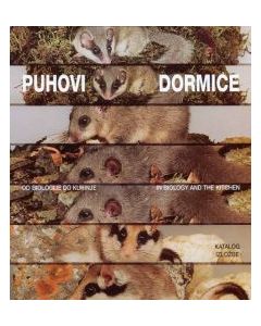 Dormice: in biology and the kitchen