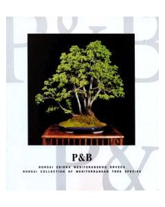 Bonsai collection of Mediterranean tree species